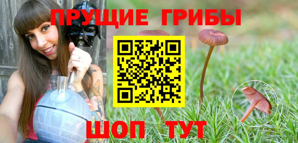 Галлюциногенные грибы прущие грибы Кашира