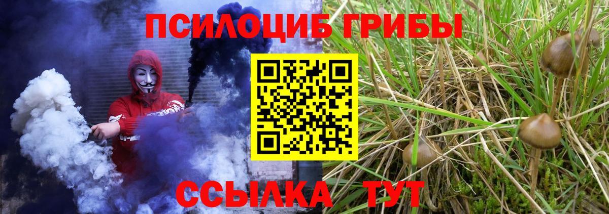 Галлюциногенные грибы Psilocybine cubensis  Вход с VPN  Кашира  Псилоцибиновые грибы Psilocybine cubensis 